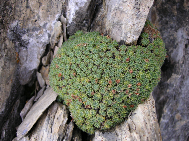 PICT0014.JPG