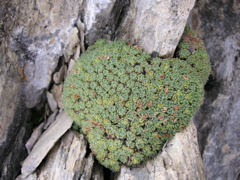 PICT0014.JPG