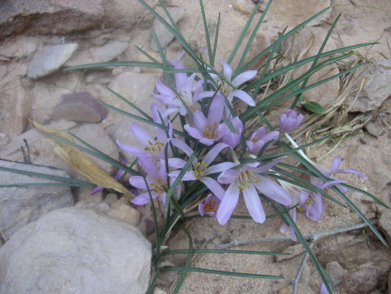 PICT0109.JPG