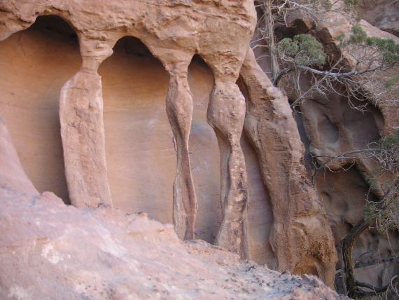 PICT0050.JPG