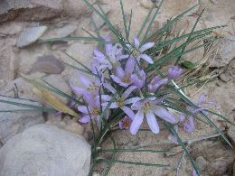 PICT0109.JPG
